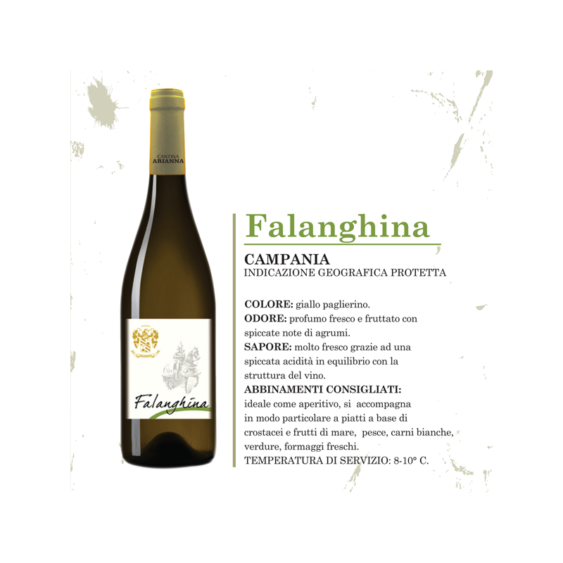 Falanghina