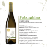 Falanghina